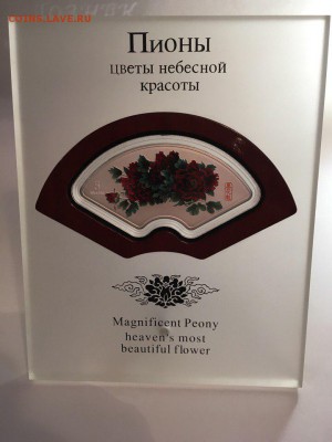 Пятиунцовка островов Кука. Пионы до 02.04.2018 22-00 - 8