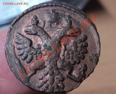 Полушка 1741г.Хорошая. до 17.4.11 22.00 МСК - DSC03876.JPG