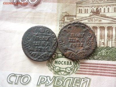 2 полушки до 31.03.2018 года в 23-00 МСК - P1200100.JPG