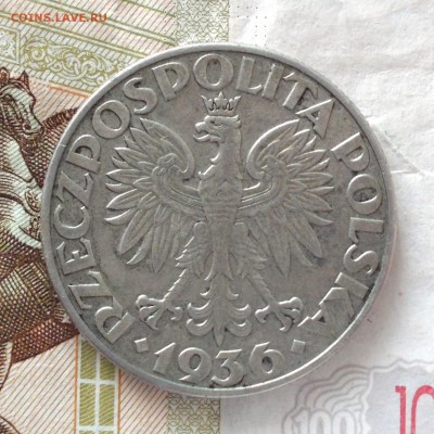 Польша 5 злотых 1936 года Парусник - DSCN0102.JPG