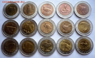 Красная книга 1991-1994 гг. до 22-00.01.04.18 г. мск - P1400914.JPG
