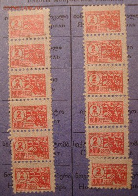 Карточка юного друга МОПР. До 02.04.в 22.00 МСК - DSC01911.JPG