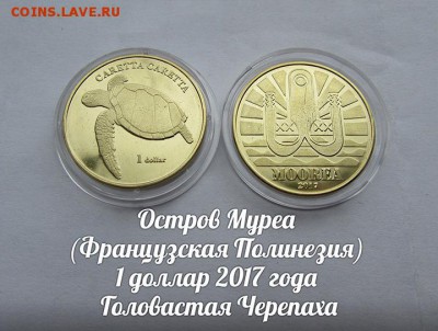 Остров Муреа 1 доллар 2017 Головастая Черепаха. До 30.03. - 1
