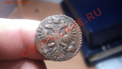 Полушка 1731 .Желтая.Неземляная. до 17.4.11 22.00 МСК - DSC04061.JPG