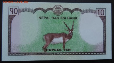 НЕПАЛ 10 рупий 2017г., ДЖЕЙРАН  ДО 03.04. - 10 рупий 2017г., В Олень.JPG