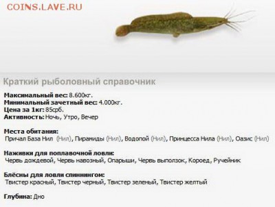 делает - прямо сейчас !!! - Рисунок1