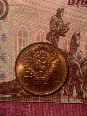 2018 в 22-00 по Москве - IMG_6646