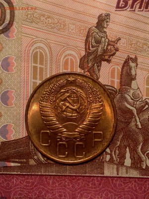 2018 в 22-00 по Москве - IMG_6649