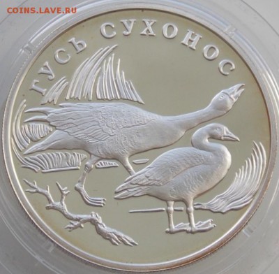 Монеты Канады, бим и серебро 1, 2, 3 рубля Россия, Казахстан - 10044 a.JPG