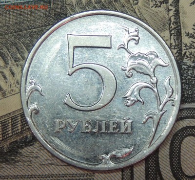 Вопросы по разновидностям от partly - DSCN9353.JPG