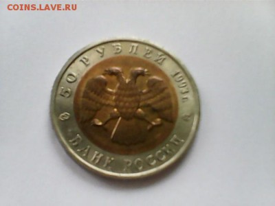50 рублей 1993 Кавказский тетерев - Тетерев - 2