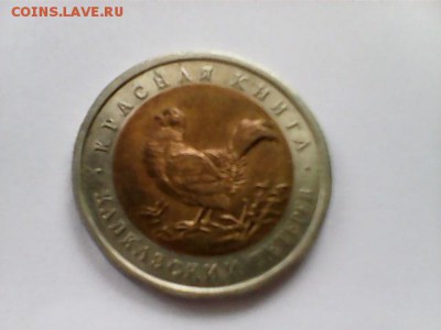 50 рублей 1993 Кавказский тетерев - Тетерев - 1