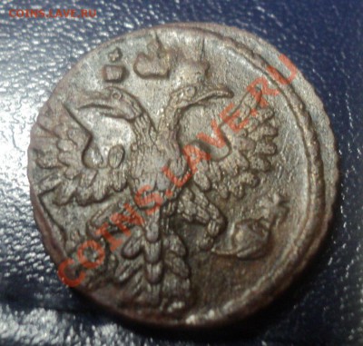 Полушка 1736г Красавица до 17.4.11 22.00 МСК - DSC04067.JPG