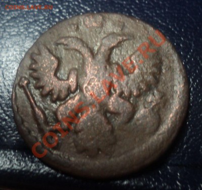 Полушка 1743г Нечастая. до 17.4.11 22.00 МСК - DSC04075.JPG