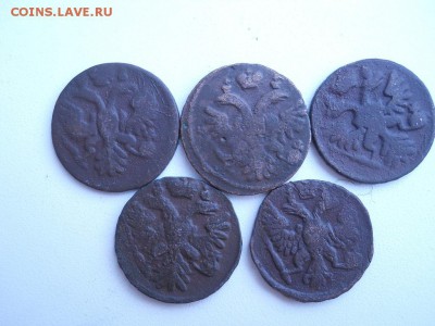 Деньга 1735,36,37,39,1749год. - DSCN3527