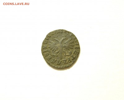 Полушка 1707,деньга 1713, 3 копейки 1840 гг. Оценка. - DSC_0255.JPG