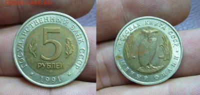 КК - 5 рублей 1991 рыбный филин - 05-04-18 - 23-10 мск - 3