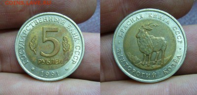 КК - 5 рублей 1991 Винторогий козел - 05-04-18 - 23-10 мск - 4