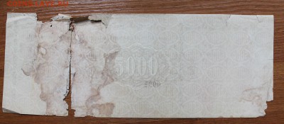 5000 1919 год. - IMG_4493.JPG