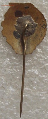 готов за ПВХО,игла,до 4.04,в 22.00мск - DSCF0067.JPG