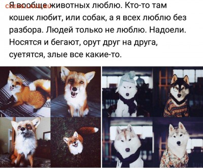 юмор - bVulzmKdQXw
