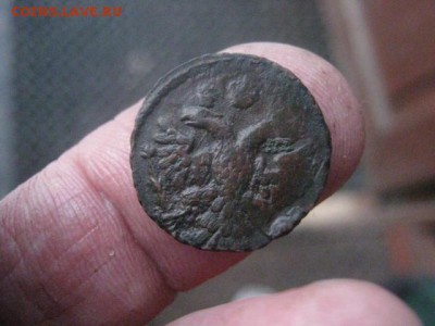 Полушка 1739г. Кладовая. Не частая. До 10.04.2018г. - 010.JPG