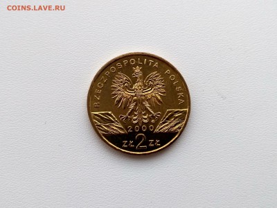 ПОЛЬША,2 злотых 2000г(Удод)!до 6.04.2018 - IMG_20180401_182001_HDR
