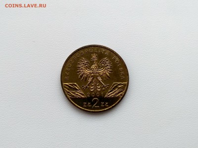 ПОЛЬША,2 злотых 2001г(бабочка МАХАОН)!до 6.04.2018 - IMG_20180401_181551_HDR