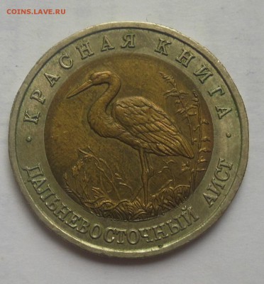 50 рублей Аист 1993 - 4-1.JPG