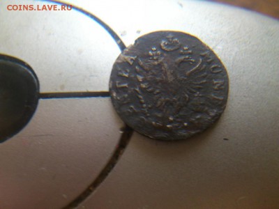 2 гроша елизаветы для пруссии 1760 года острый хвост - DSC_1594 (Копировать)