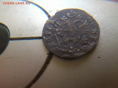 2 гроша елизаветы для пруссии 1760 года острый хвост - DSC_1595 (Копировать)