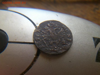 2 гроша елизаветы для пруссии 1760 года острый хвост - DSC_1590 (Копировать)