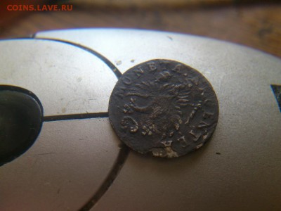 2 гроша елизаветы для пруссии 1760 года острый хвост - DSC_1592 (Копировать)
