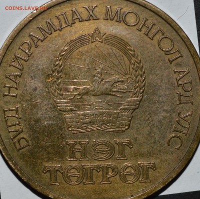 монгольский тугрик 50 жил - DSC_2830.JPG