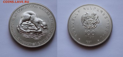 Крона Шайба Армения 100 драм 1997 Кавказская Выдра - IMG_8094.JPG