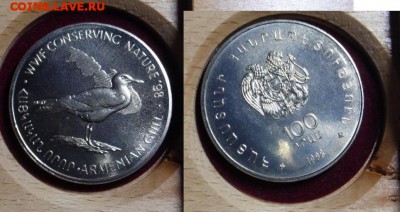 Крона Шайба Армения 100 драм 1998 Армянская чайка WWF - 33a965a41cd16fc4ad41d2ecb89008bb2
