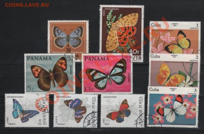 Фауна: Насекомые. 17.04.2011, в 22-00 Мск. - 3