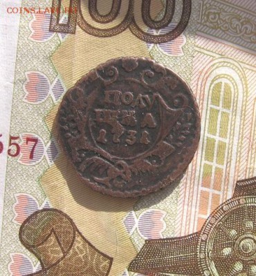 04 - 1коп1731а