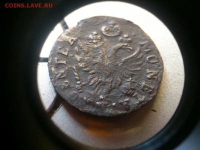 2 гроша елизаветы для пруссии 1760 года острый хвост - DSC_1620 (Копировать)