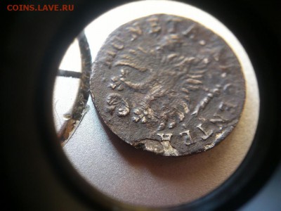 2 гроша елизаветы для пруссии 1760 года острый хвост - DSC_1621 (Копировать)