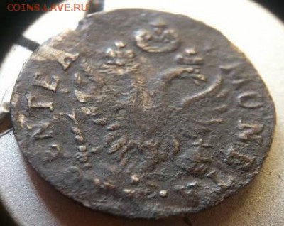 2 гроша елизаветы для пруссии 1760 года острый хвост - DSC_1633 (Копировать)