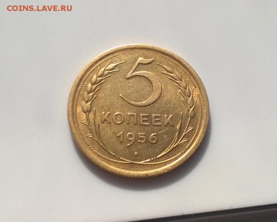 5 копеек 1956 года с блеском до 11.04 - WP_20180406_16_25_27_Pro