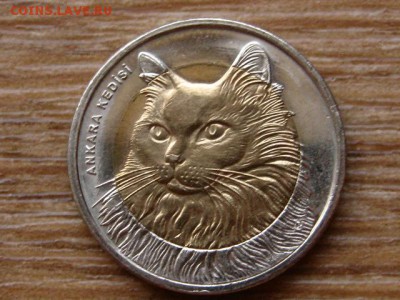 БИМ Турция 1 лира 2010 Кошка до 11.04.18 в 22.00 М - IMG_2601.JPG