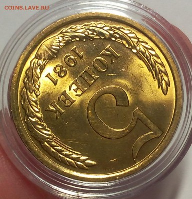 5 КОПЕЕК 1981г мешковой UNC до 11.04.18 - IMG_20180410_211543.JPG