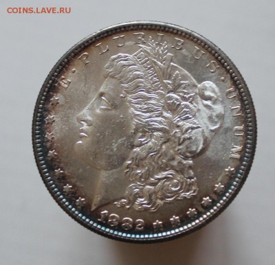 Морган 1$ 1882 S Штемпельный на оценку - IMG_0080.JPG