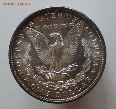 Морган 1$ 1882 S Штемпельный на оценку - IMG_0051.JPG