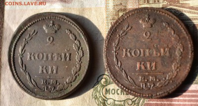 2 копейки 1810 ем нм пчелка - DSC_1916ав