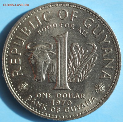 С РУБ. F.A.O. GUYANA 1 DOLLAR 1970г. КРУПНАЯ до 17.04 в 22-0 - IMG_2089.JPG