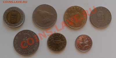 Венгрия форинты. 100, 50, 10,10,5,2 до 19.04. 21-00мск - SAM_0732.JPG