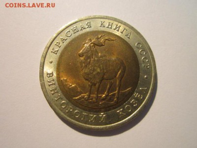 КК КОЗЕЛ АНЦ 5 руб 1991 до 15.04.18 в 22:30 - IMG_9957.JPG